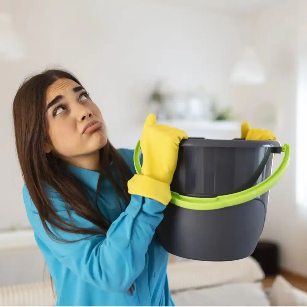 water damage restoration service Alger